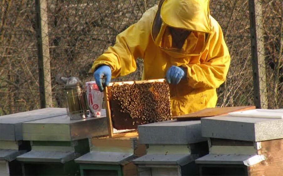 un apicoltore al lavoro
