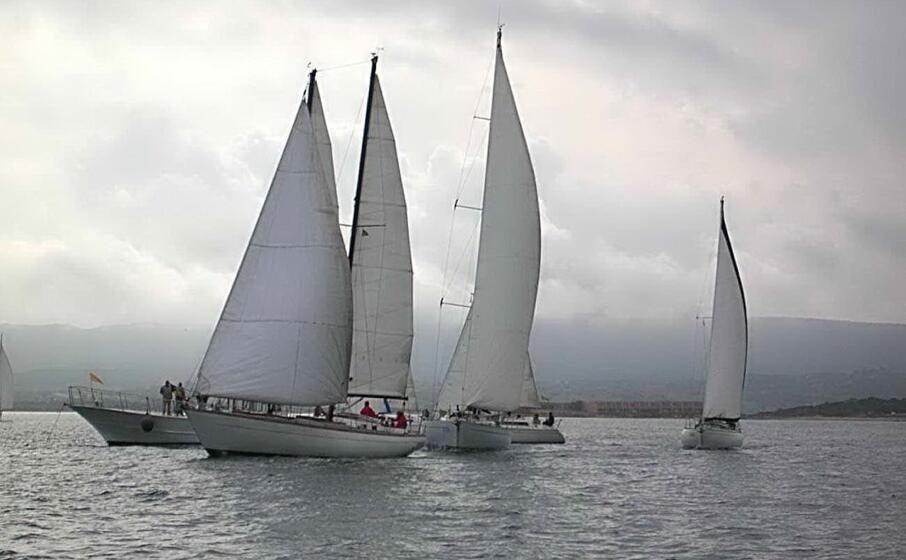 la regata velica