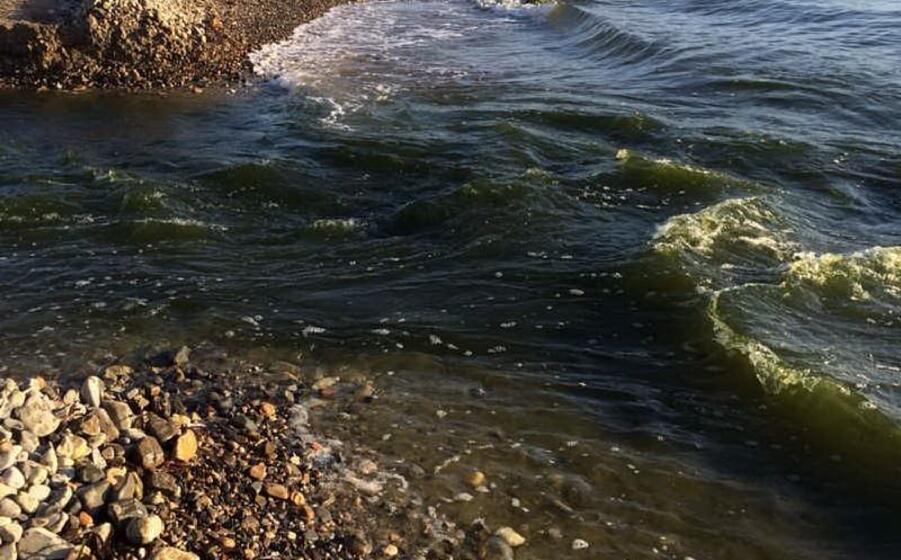 il mare nella spiaggia di pula