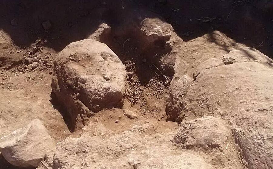 il nuovo gigante scoperto ieri foto chergia
