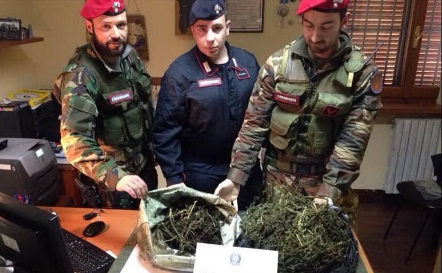 la droga sequestrata
