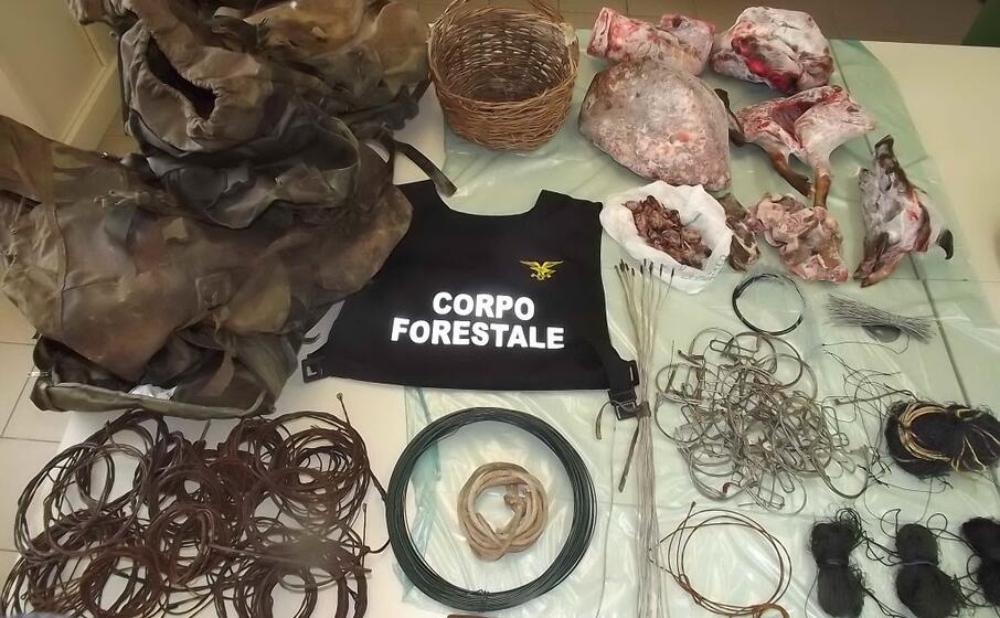 il materiale sequestrato dagli uomini della forestale