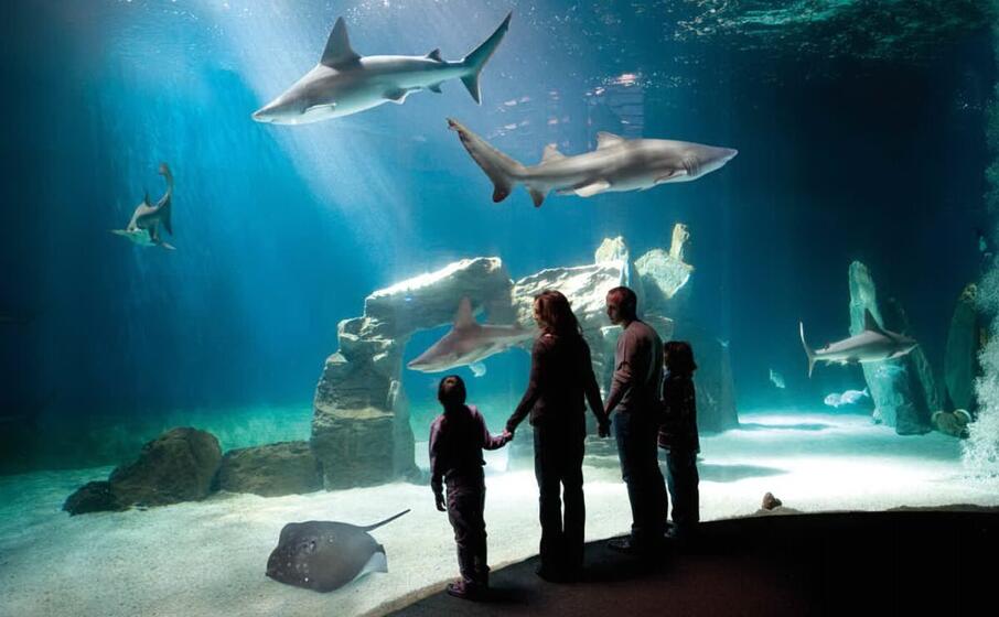 l acquario di genova