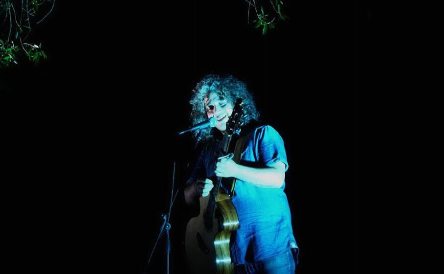 roberto diana in concerto a luras (foto pala)
