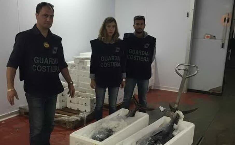 il pesce sequestrato