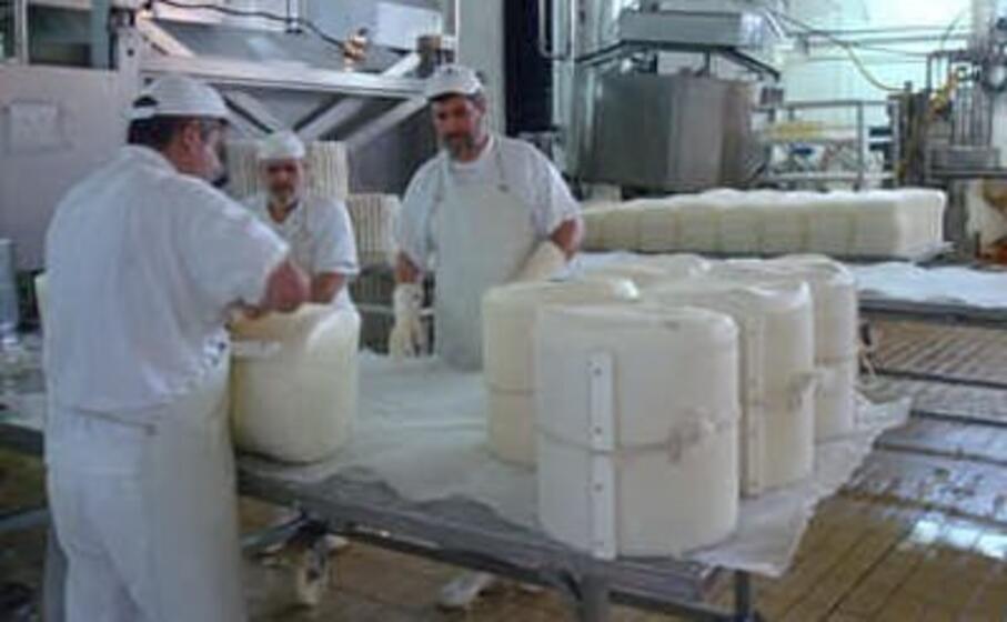 pecorino romano