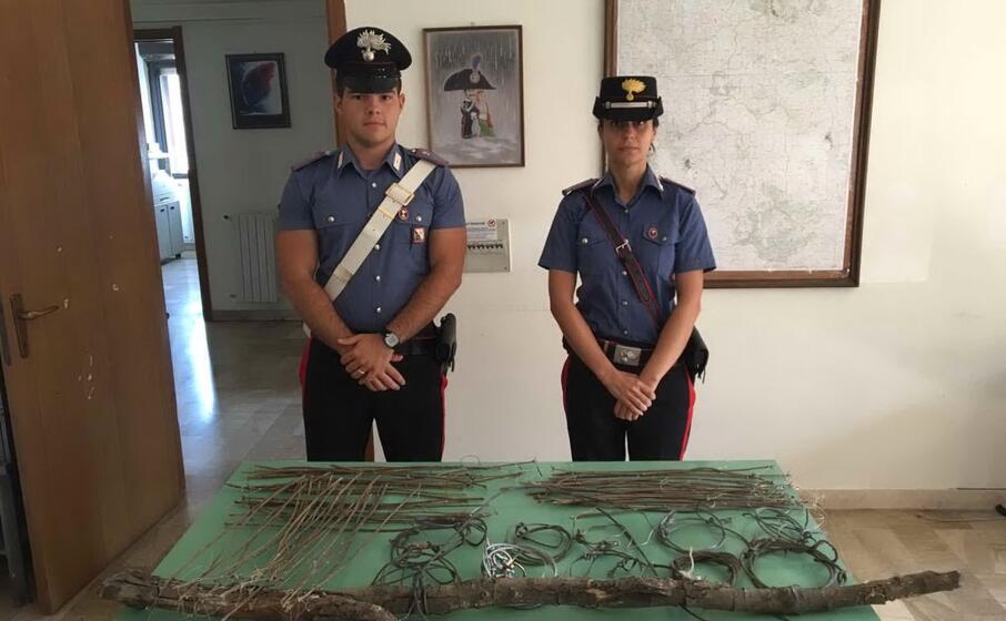 le trappole sequestrate al bracconiere