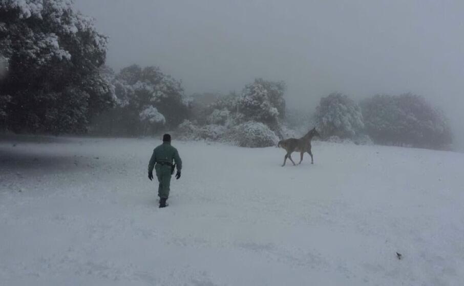 neve sui monti di santu lussurgiu