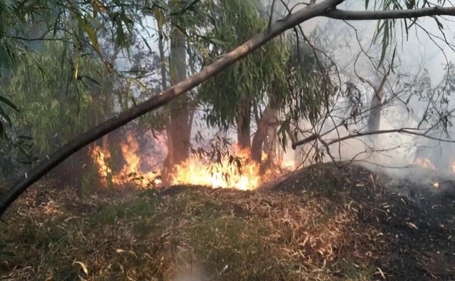 l incendio