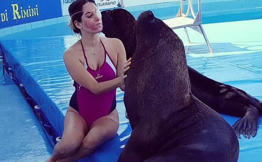 gessica notaro con i leoni marini la sua seconda famiglia
