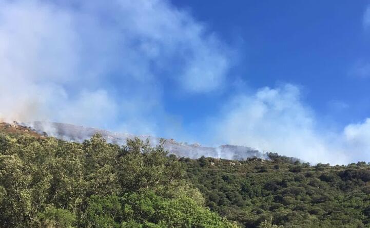 il fumo dalla 131 (alessia manca)