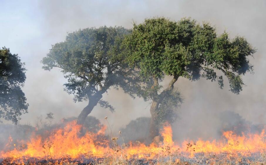 incendi anche nell oristanese