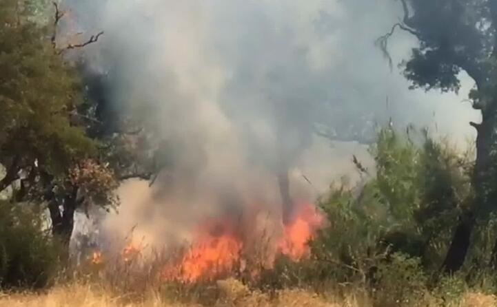 le fiamme