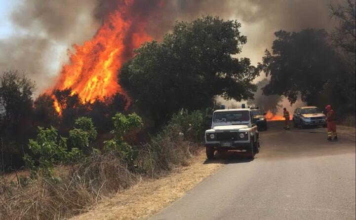 le fiamme (foto di gianluigi deidda)