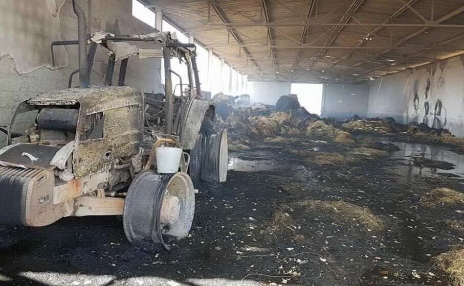 una delle aziende agricole devastate dalle fiamme