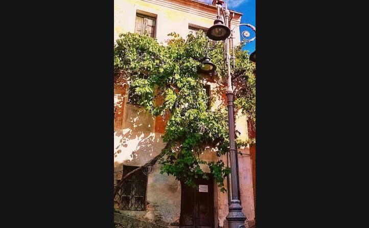 i colori dell autunno lo scatto di msilvi68