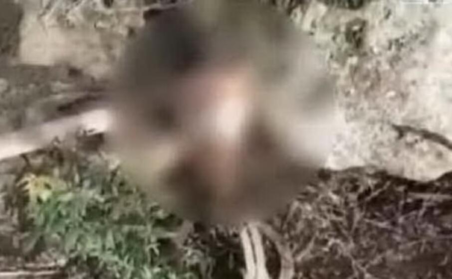 un frame del video