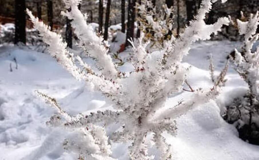 neve a monte limbara
