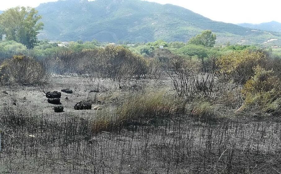 l area bruciata a su cristallu