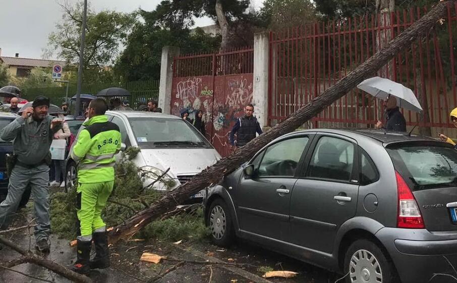 l albero caduto a via santulussurgiu (foto elia sanna)