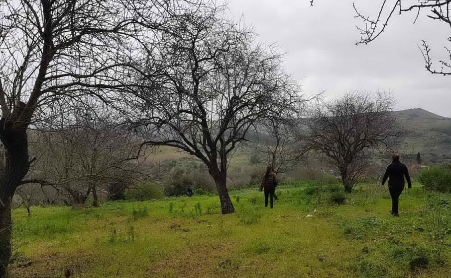 le ricerche di atzori (foto a pintori)