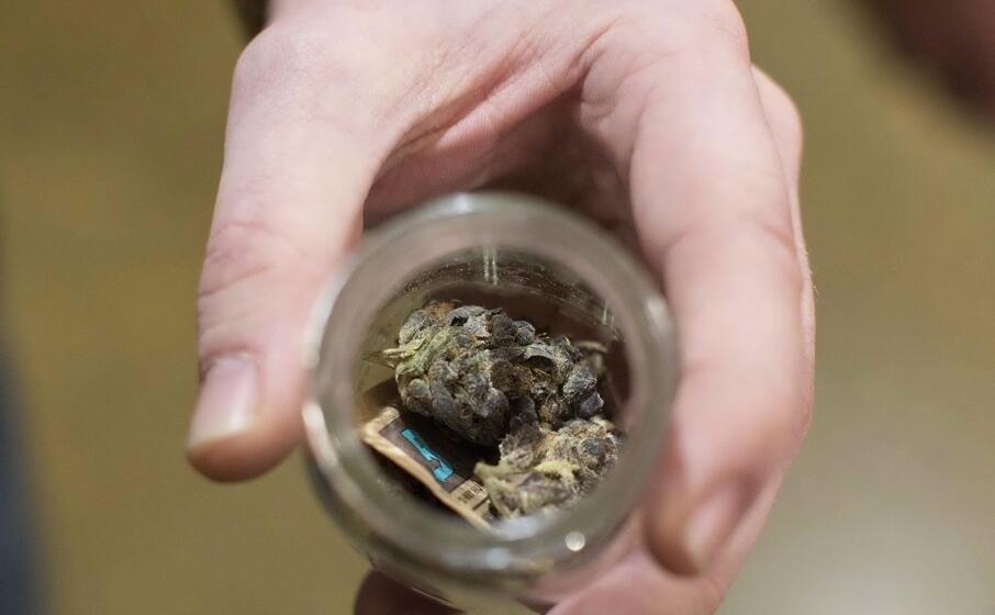 della marijuana (ansa)
