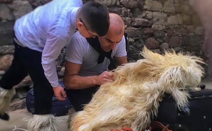 di padre in figlio l amore e la passione per le maschere con questo scatto arctica_83 ci porta ad ottana