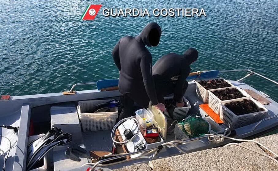 attrezzatura da pesca oristano