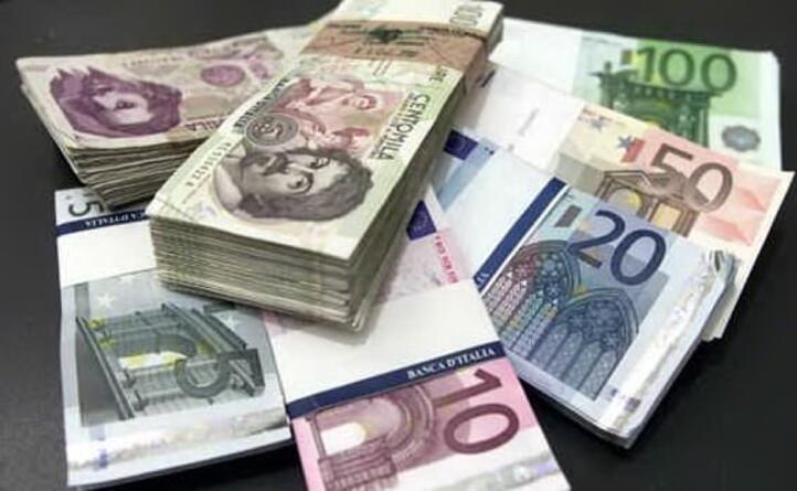 l euro invece subentra nel 2002