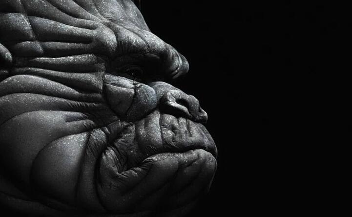 in entrambe le occasioni king kong ha vinto l oscar