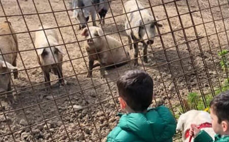 la famiglia ha fatto una breve tappa in agriturismo