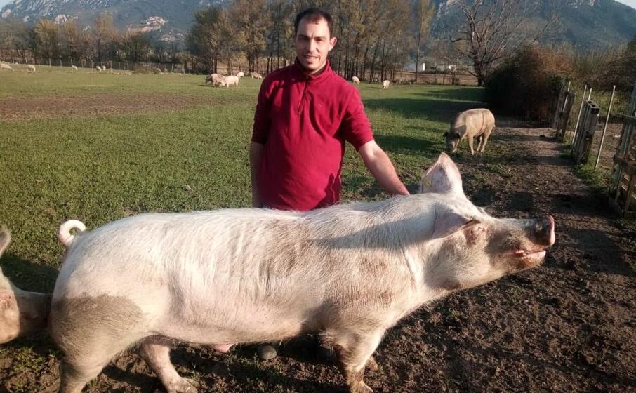 giuseppe porcu allevatore di irgoli