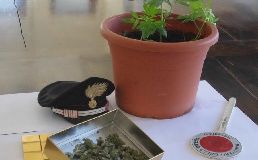 il materiale sequestrato (foto carabinieri)