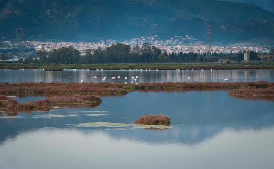 la laguna di capoterra (foto l unione sarda murgana)