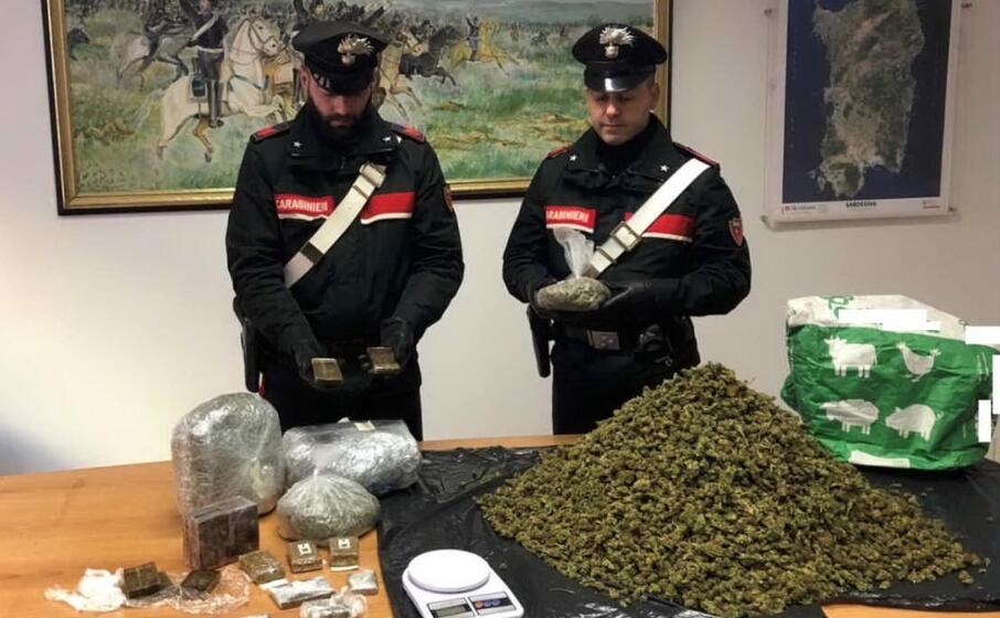 la marijuana sequestrata (foto carabinieri)