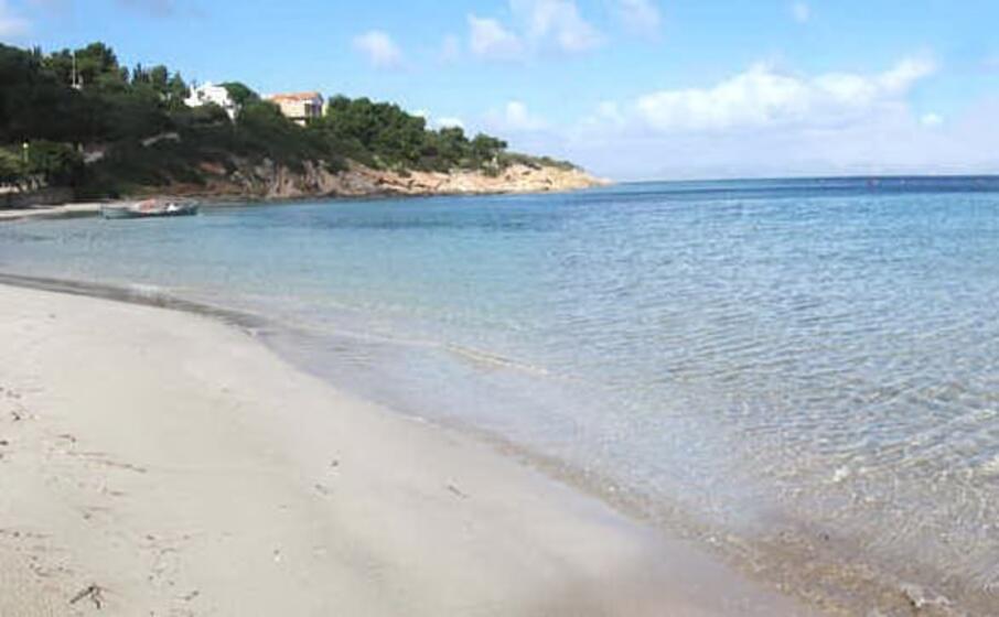 e maladroxia sant antioco quest ultima new entry (foto tripadvisor ansa e archivio l unione sarda)