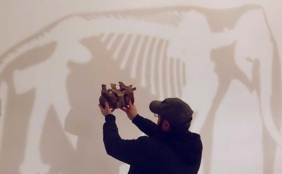 una ricostruzione del mammut (foto ufficio stampa)