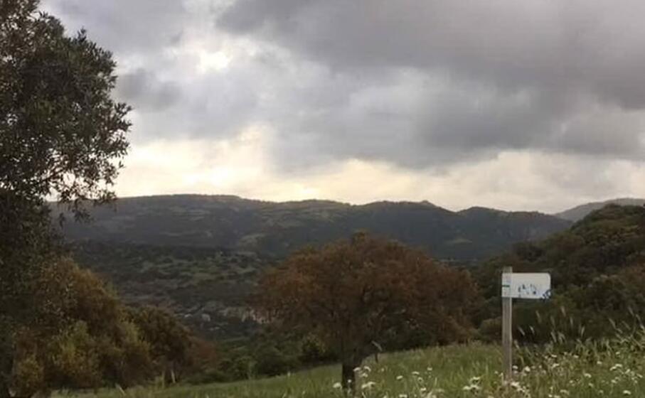 campi e colline in localit baralla luogo del delitto
