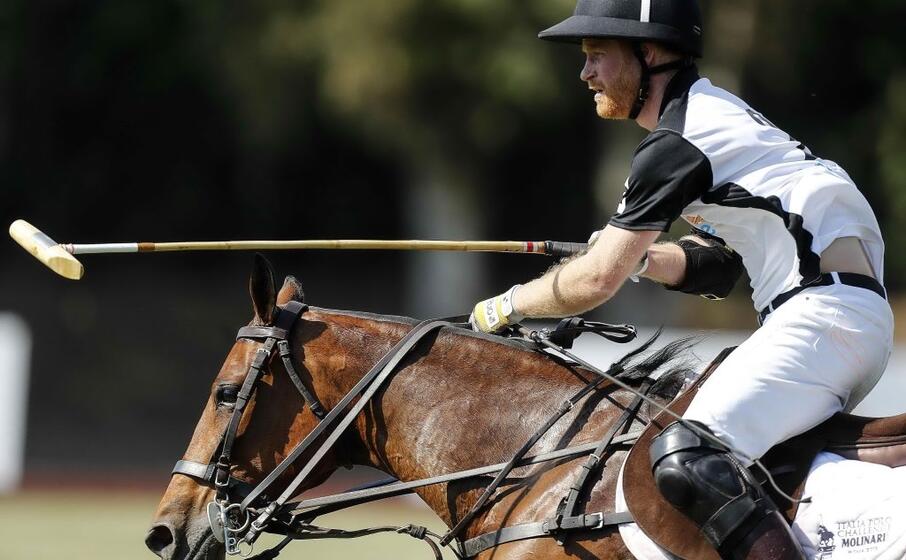 il principe harry a roma per beneficenza