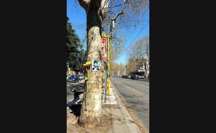 una foto dell artista su un albero in via nomentana a roma (foto wikipedia