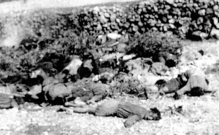 la strage di cefalonia esecuzione sommaria di soldati italiani ad opera dei tedeschi
