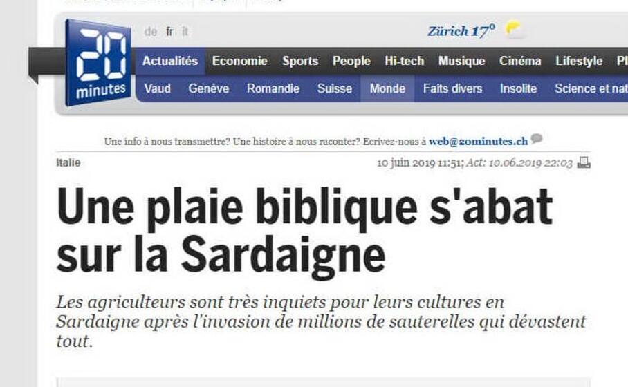 20 minutes una piaga biblica si abbatte sulla sardegna