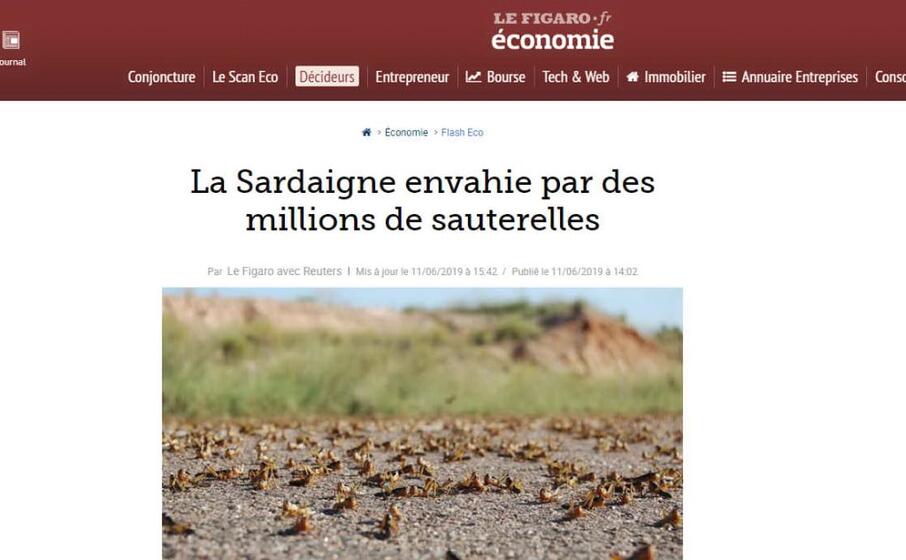 la sardegna invasa da milioni di cavallette scrive il francese le figaro