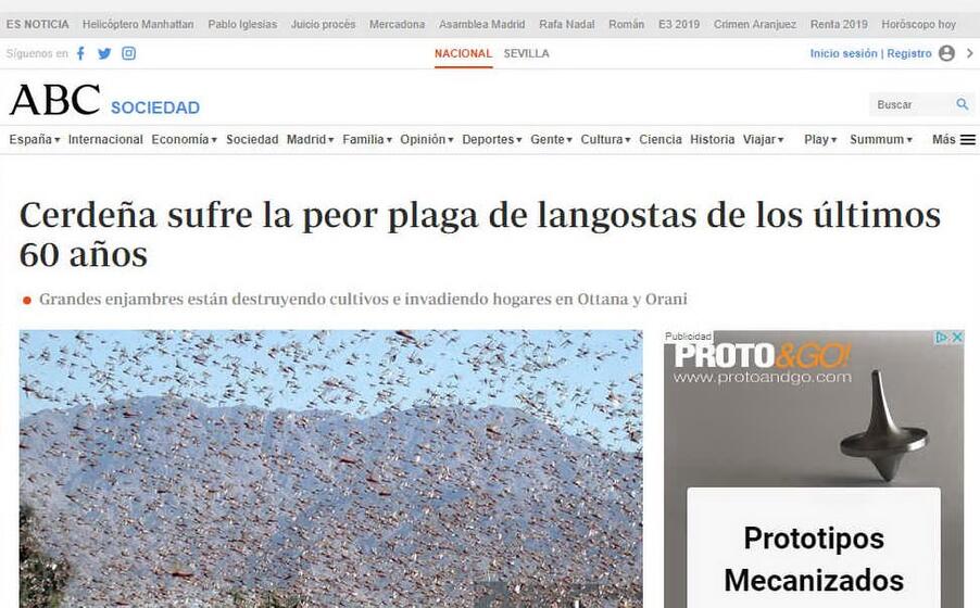 la sardegna soffre la peggiore invasione di cavallette degli ultimi 60 anni titola abc espanol