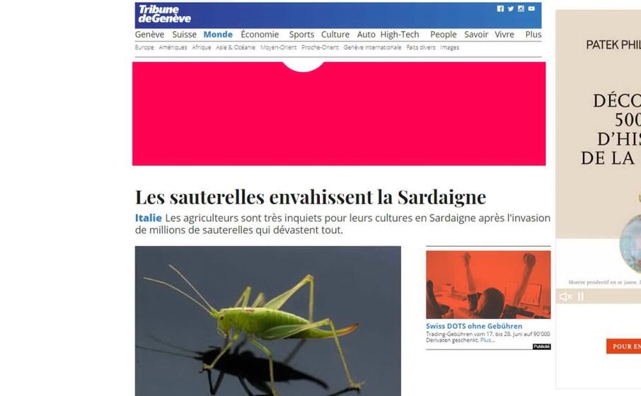 la tribune de geneve le cavallette invadono la sardegna