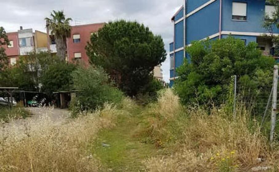 un immagine inviata dal lettore