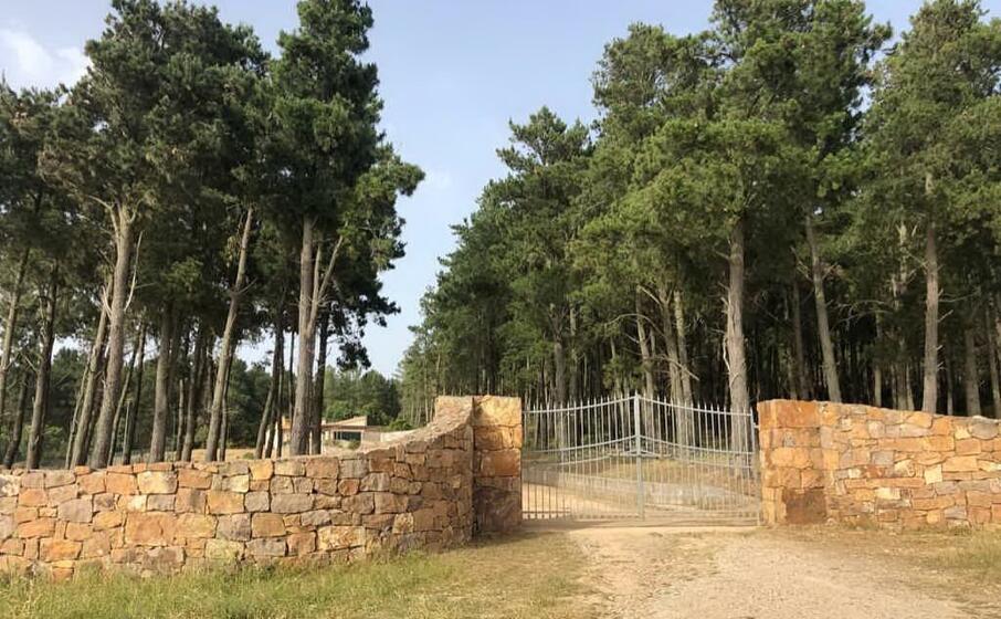 la pineta (foto l unione sarda orbana)