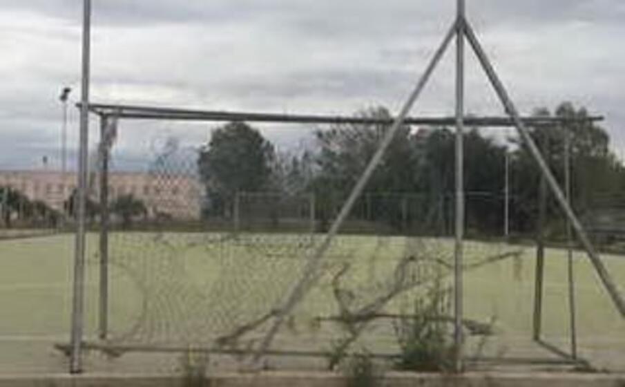 (foto l unione sarda pinna)