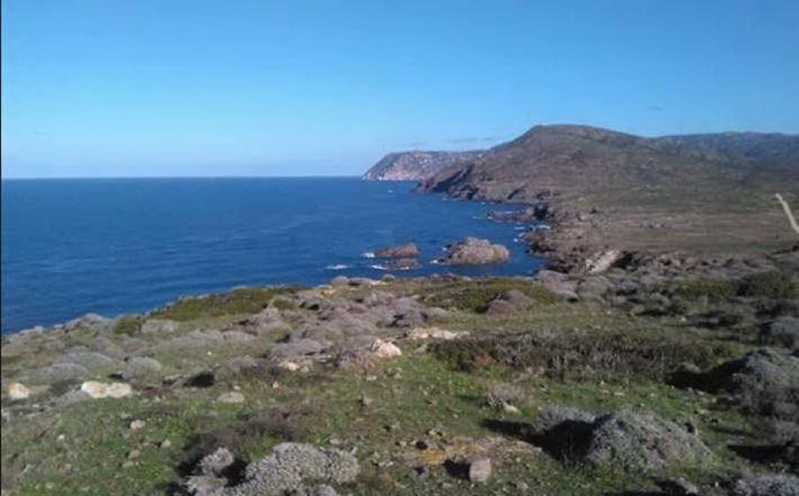 l asinara (foto l unione sarda pala)