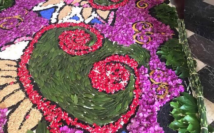 un vero e proprio tappeto colorato fatto di centinaia di disegni floreali